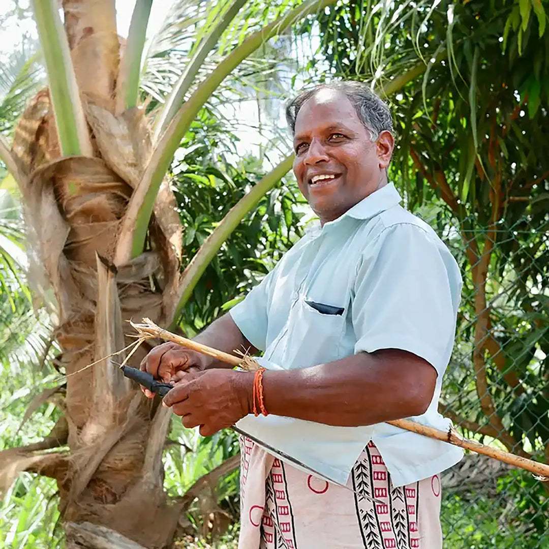 Biologisches Natives Kokosöl der Ölmühle Solling bei www.bio-vivo.ch