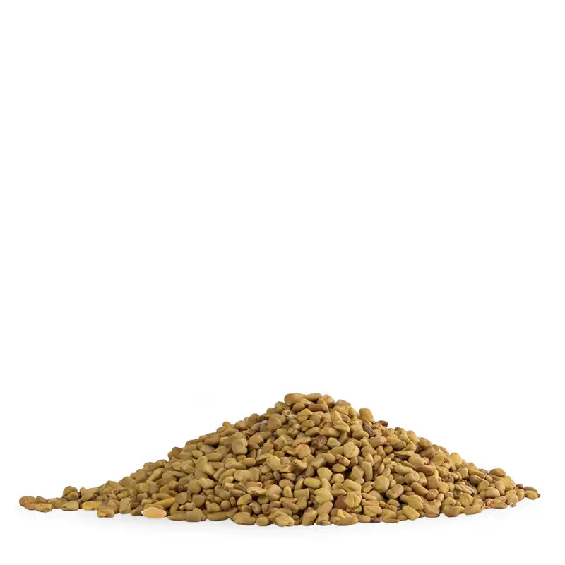 Bockshornklee von Pfeffersack & Söhne I www.bio-vivo.ch