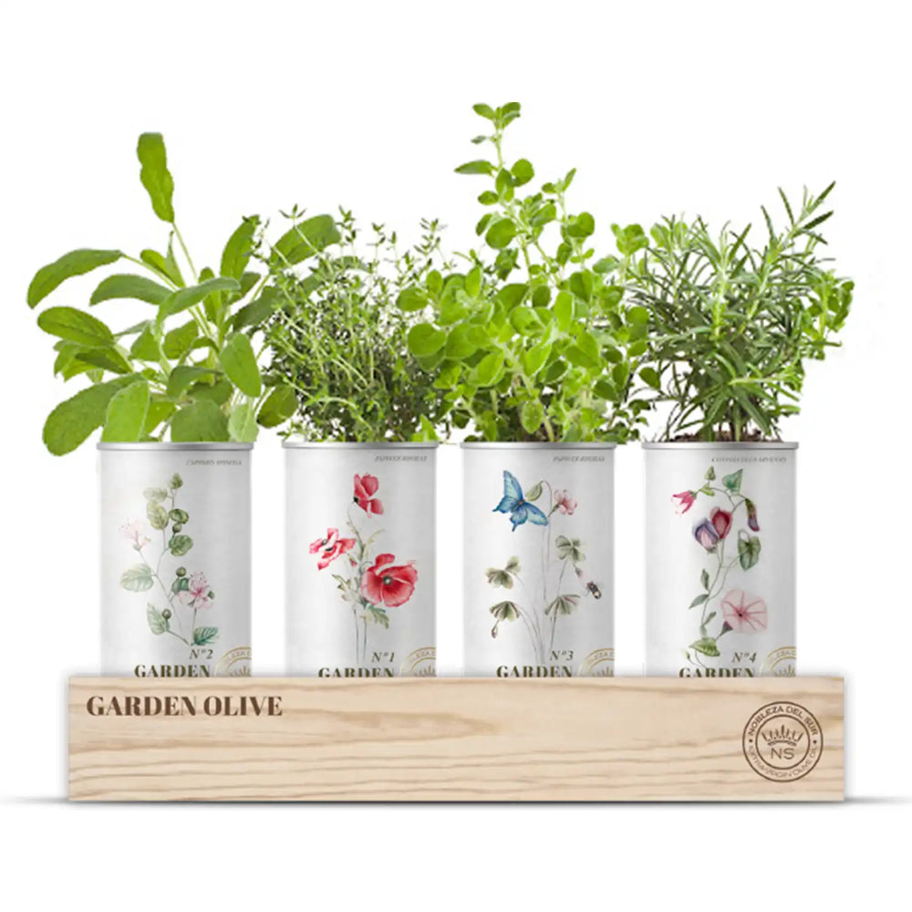 Olive Garden Geschenkset von Nobleza I Vier biologische Olivenöle I www.bio-vivo.ch