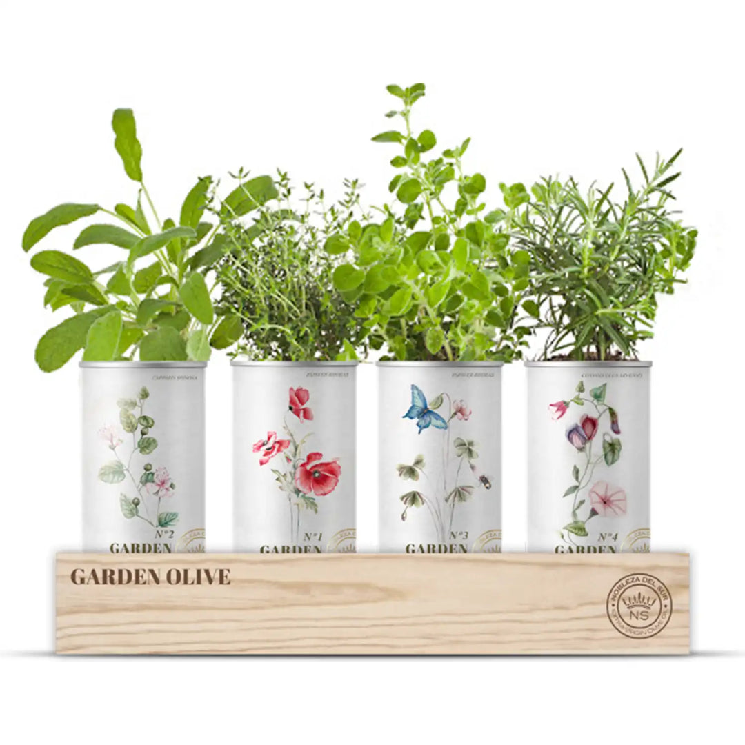 Olive Garden Geschenkset von Nobleza I Vier biologische Olivenöle I www.bio-vivo.ch