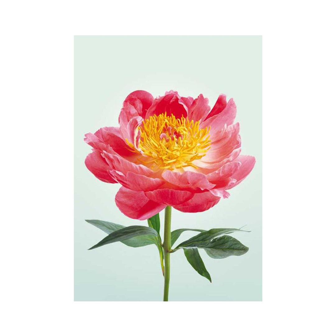 Postkarte A6 von postcardsociety I www.bio-vivo.ch