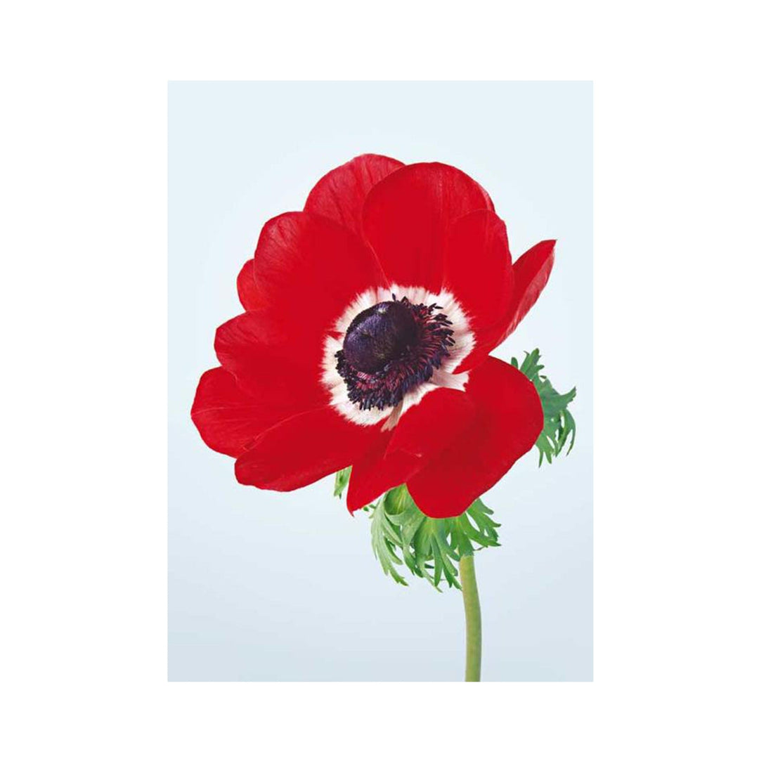 Postkarte A6 von postcardsociety I www.bio-vivo.ch