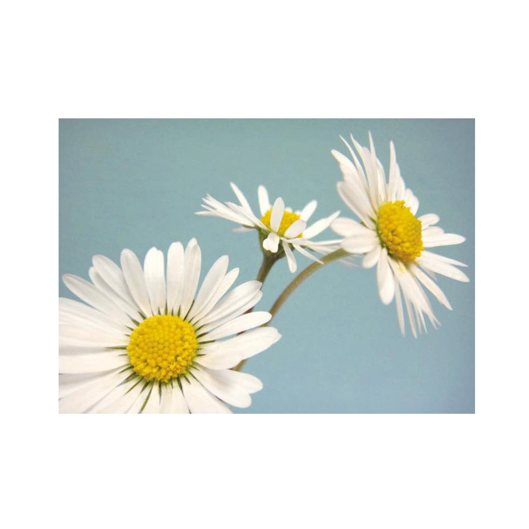 Postkarte A6 von postcardsociety I www.bio-vivo.ch