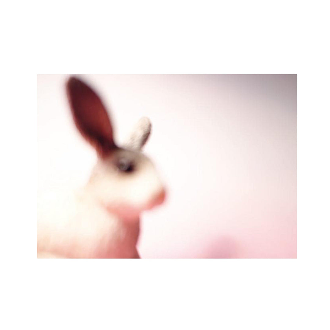 Postkarte A6 von postcardsociety I www.bio-vivo.ch