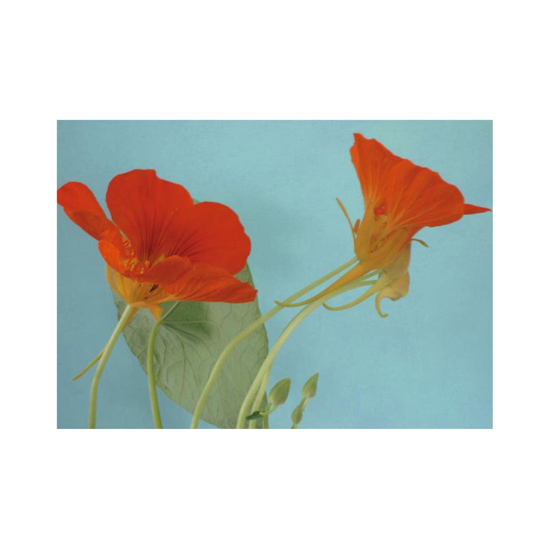 Postkarte A6 von postcardsociety I www.bio-vivo.ch