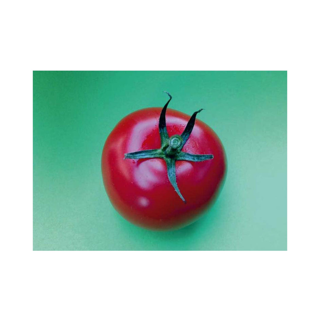 Postkarte A6 von postcardsociety I www.bio-vivo.ch