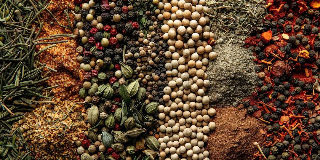 Verschiedene getrocknete Gewürze und Pfeffersorten als Draufsicht – Kardamom, Rosmarin, Paprika und Pfeffer in Bio-Qualität